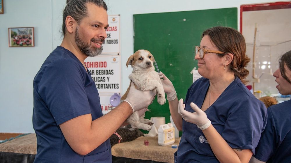 Atención al cliente en la clínica veterinaria: guía práctica
