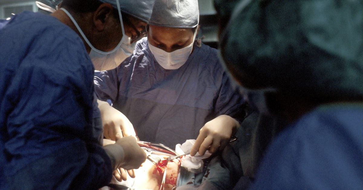 ¿Cuánto cuesta esterilizar a un perro? Guía de precios 2026