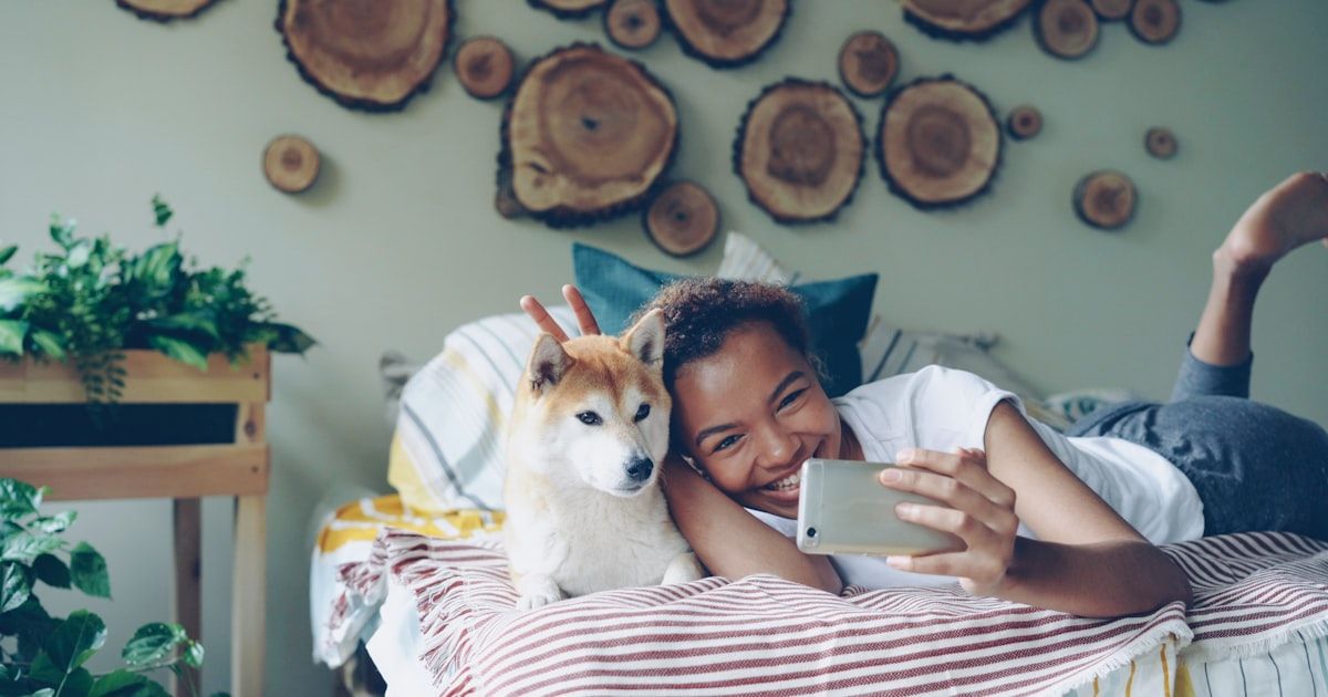 Redes sociales para tu clínica veterinaria: qué publicar